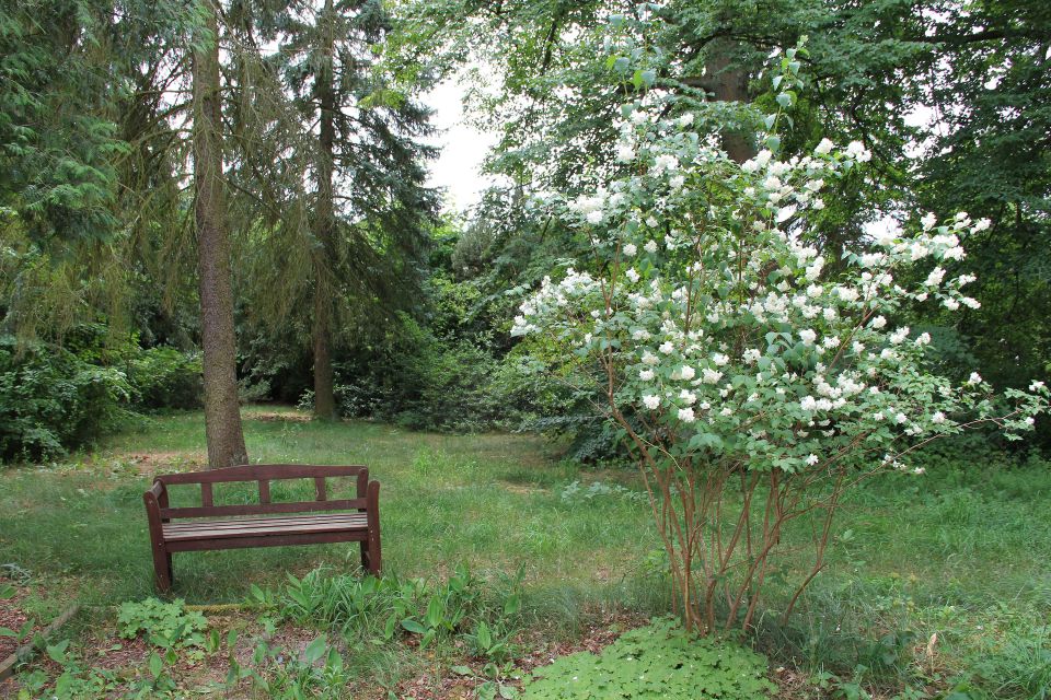 Park, Foto: Helmkes Hof GbR, Lizenz: Helmkes Hof GbR